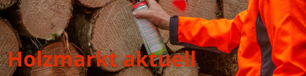 Holzmarkt aktuell